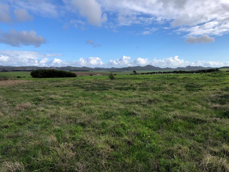 0 Bedroom Property for Sale in Baardskeerdersbos Western Cape